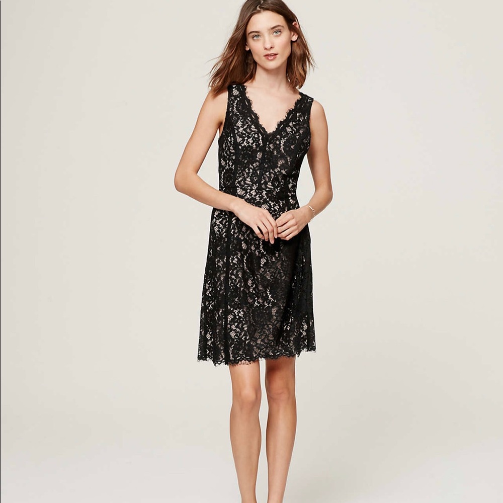 Loft Lace V-Neck Dress